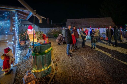 Tekintse meg galériánkat! (1/16)