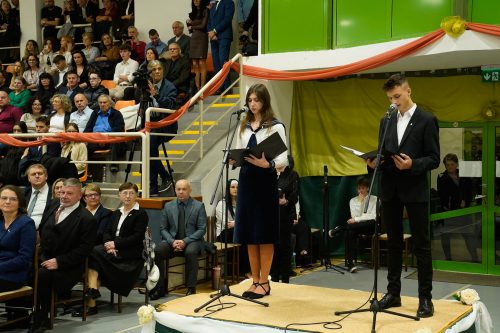 Tekintse meg galériánkat! (1/17)