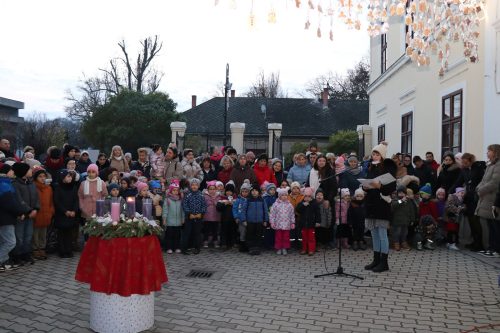 Tekintse meg galériánkat! (1/15)