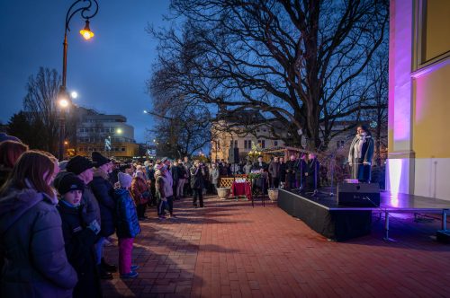 Tekintse meg galériánkat! (1/25)