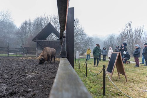 Tekintse meg galériánkat! (1/12)