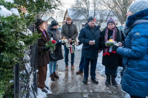 Tekintse meg galériánkat! (1/12)