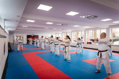 Tekintse meg galériánkat! (1/22)