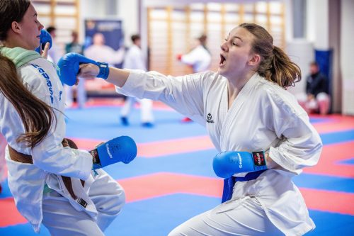 Tekintse meg galériánkat! (1/28)