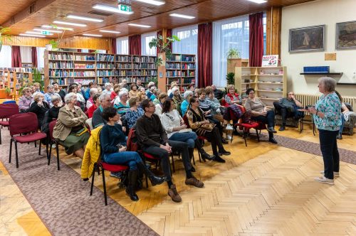 Tekintse meg galériánkat! (1/11)