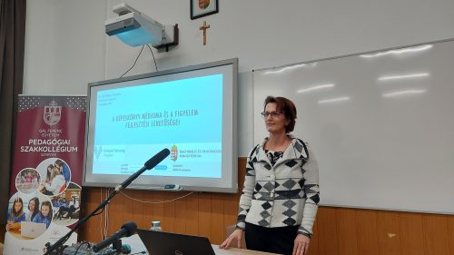 Tekintse meg galériánkat! (1/11)