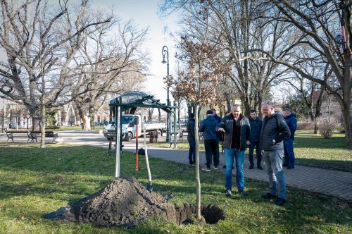 Tekintse meg galériánkat! (1/16)