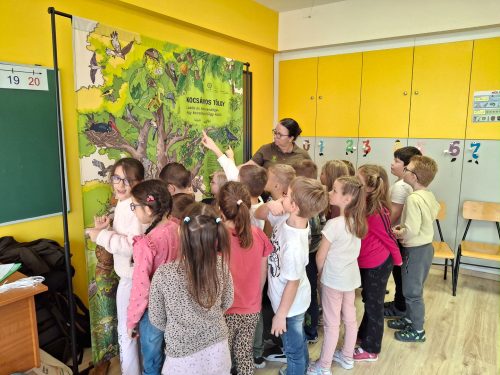 Tekintse meg galériánkat! (1/11)