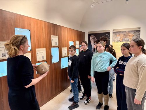 Tekintse meg galériánkat! (1/26)