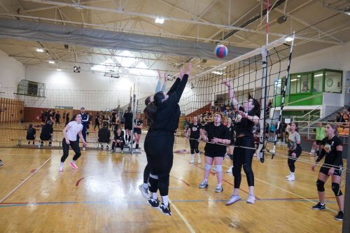 Tekintse meg galériánkat! (1/19)