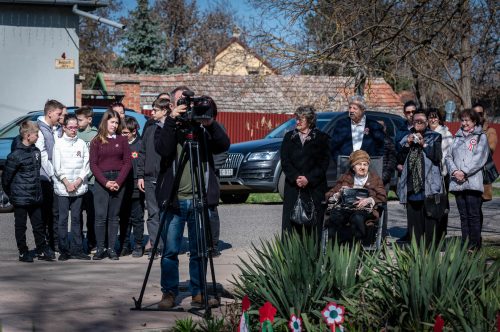 Tekintse meg galériánkat! (1/18)