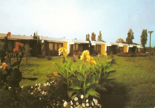 Tekintse meg galériánkat! (1/10)