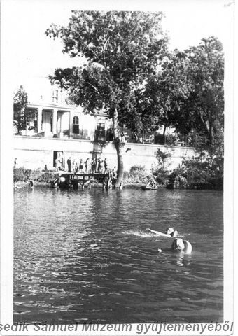 Tekintse meg galériánkat! (1/13)