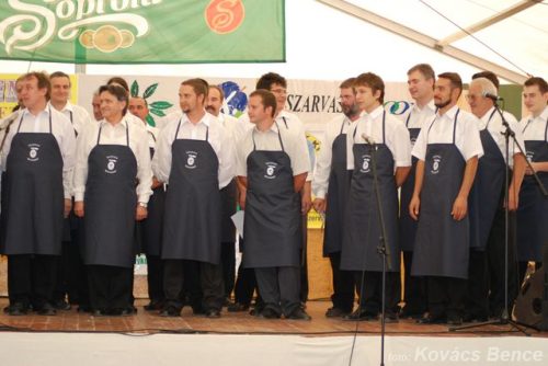 Tekintse meg galériánkat! (1/16)