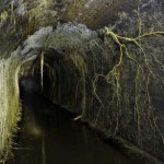 Fotó: Timothy Vogel / Underground_12