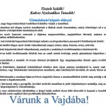 121112_vajda1
