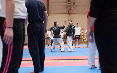 130326hapkido