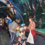 A hársligeti ovisok a Tropicariumban