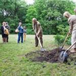 Mamutfenyőültetés a Pepikertben