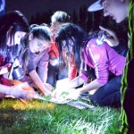 Székelyesek az éjszakában