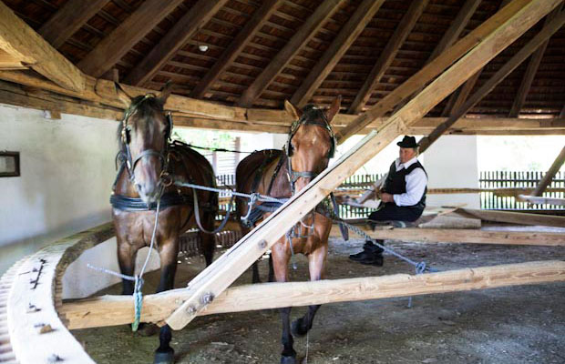 Bencsik Pál, Kedves és Jellem őröl