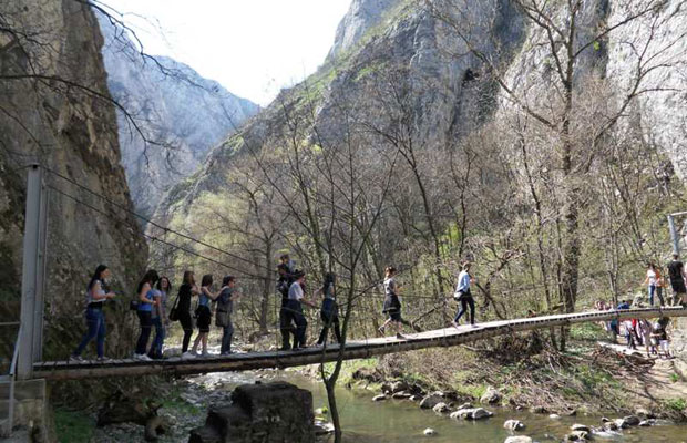 Vajdások Erdélyben