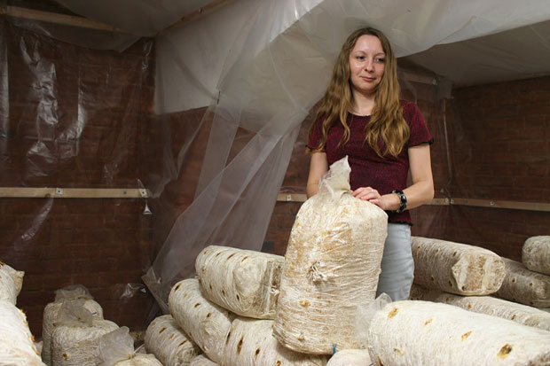 Az első gombatermés Szentandráson