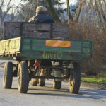 Lótartás Szarvason