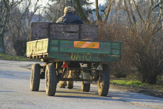 Lótartás Szarvason