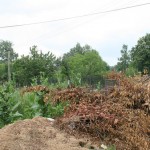 Szeméthegy az üdülősoron