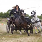 A szentandrási Dorogi Vivien szabadidős póni kettesfogatával