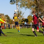 Virág Imre fejesgólja