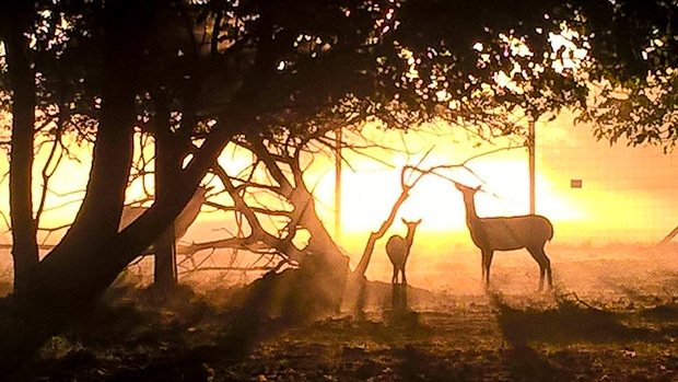 Fotó: Szekretár Csaba