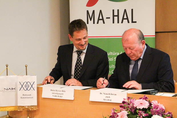 Halasi-Kovács Béla és dr. Németh István