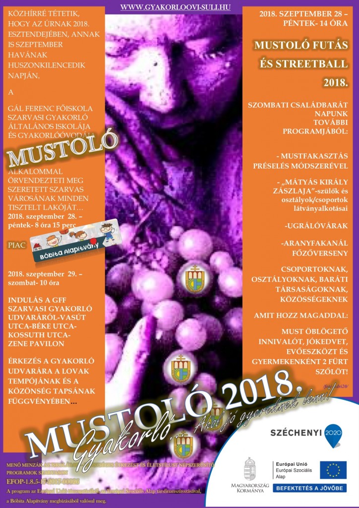 Mustolo_2018.