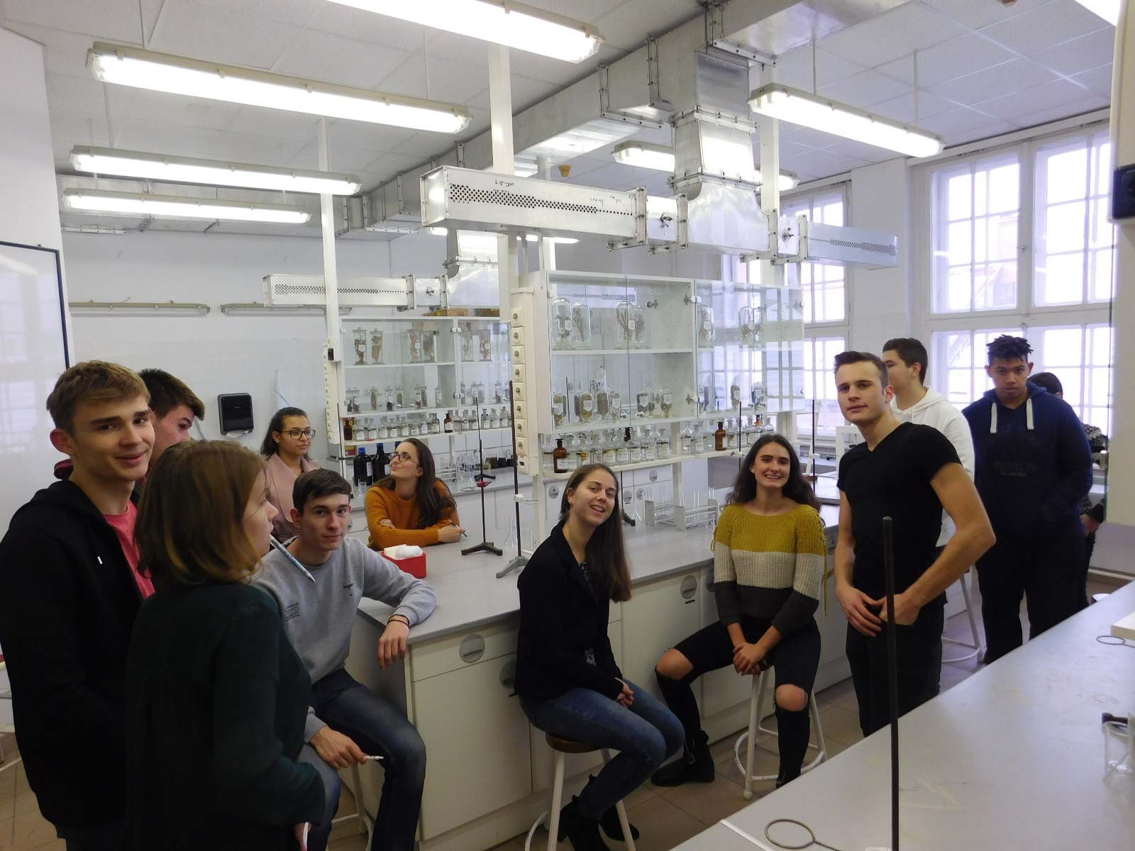 Vajdások a gyógyszerésztudományi karon