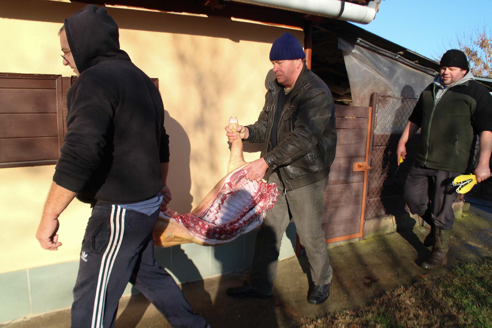 Fotó: Hegedűs Éva