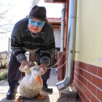 Deák György (Fotó: Hegedűs Éva)