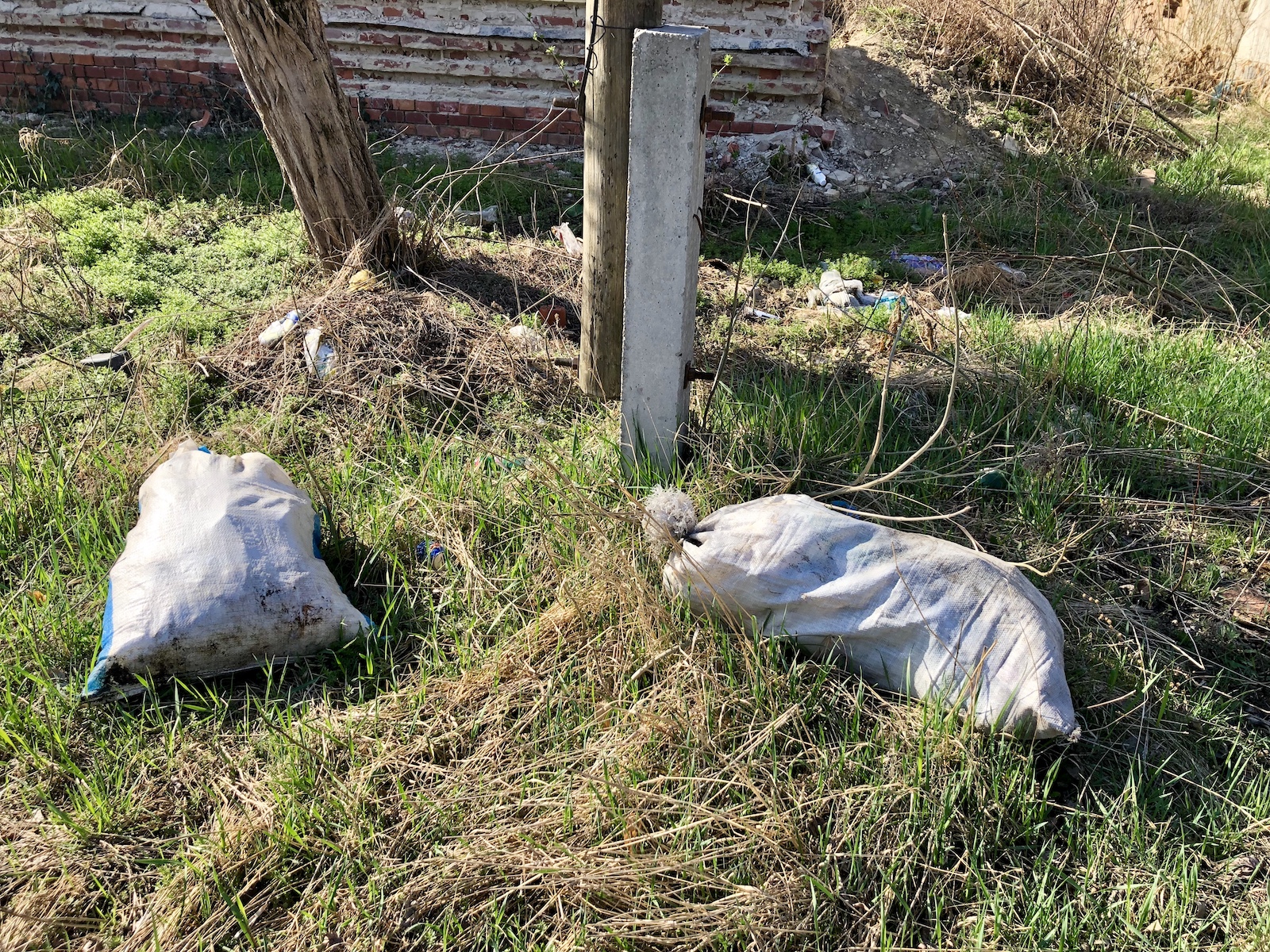 A kép illusztráció (Fotó: Babák Zoltán)