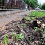 Fakivágás a Petőfi utcán (Fotó: Hegedűs Éva)