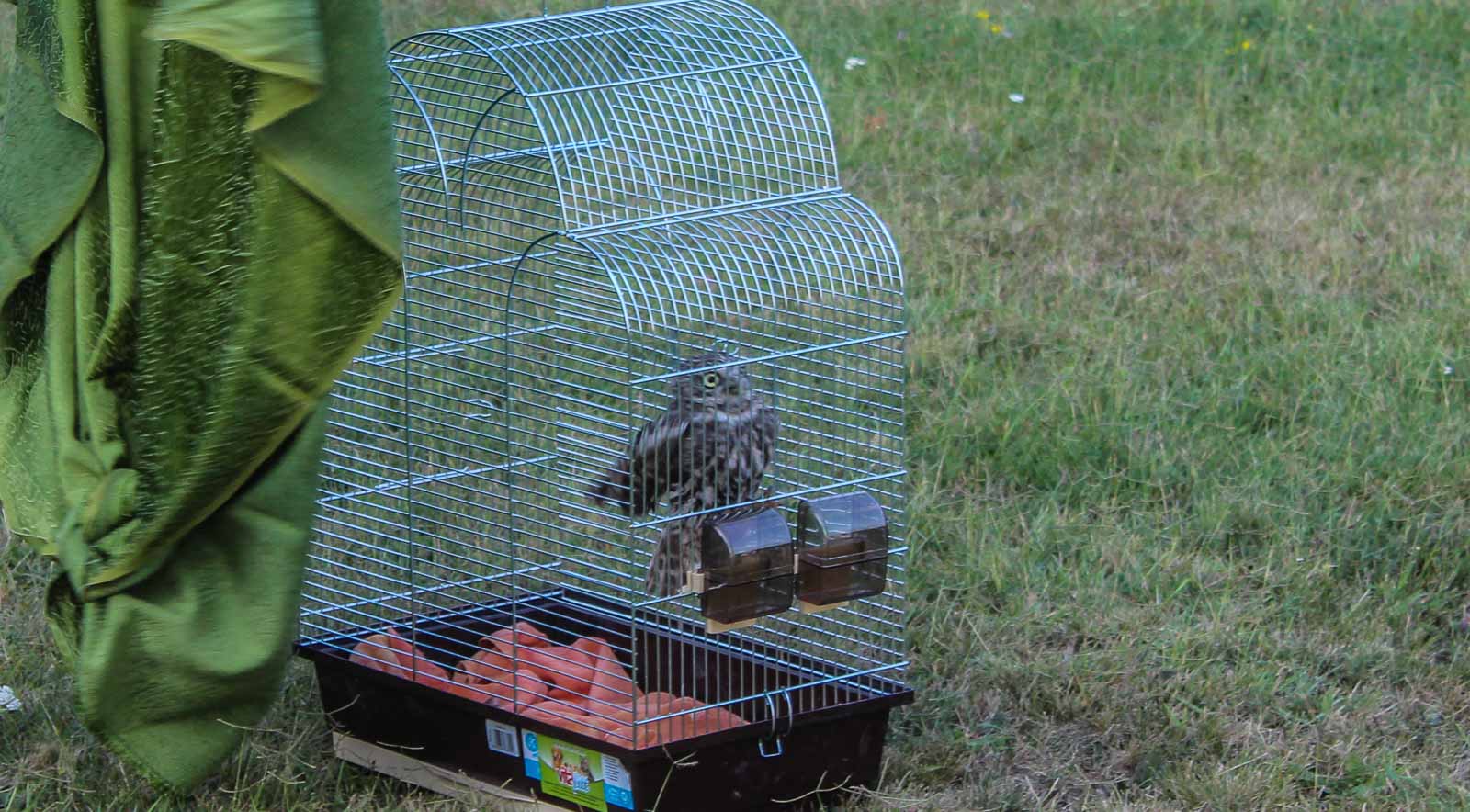 Fotó: Mátyus Sándor