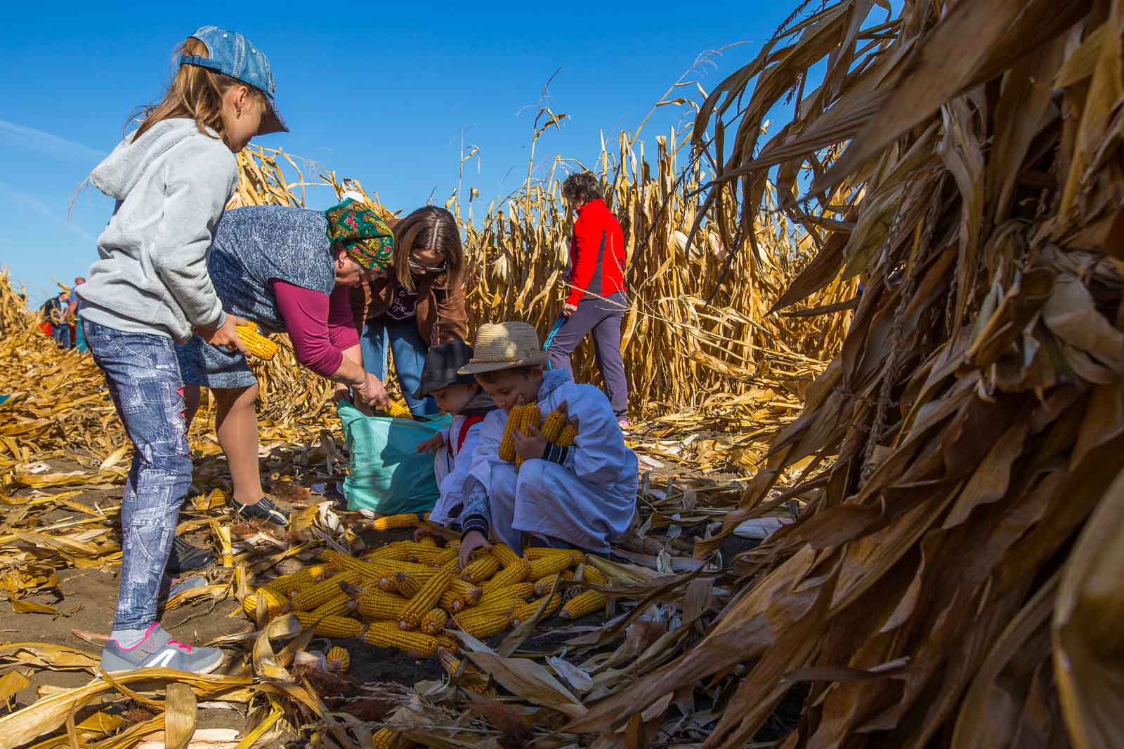 Fotó: Babák Zoltán