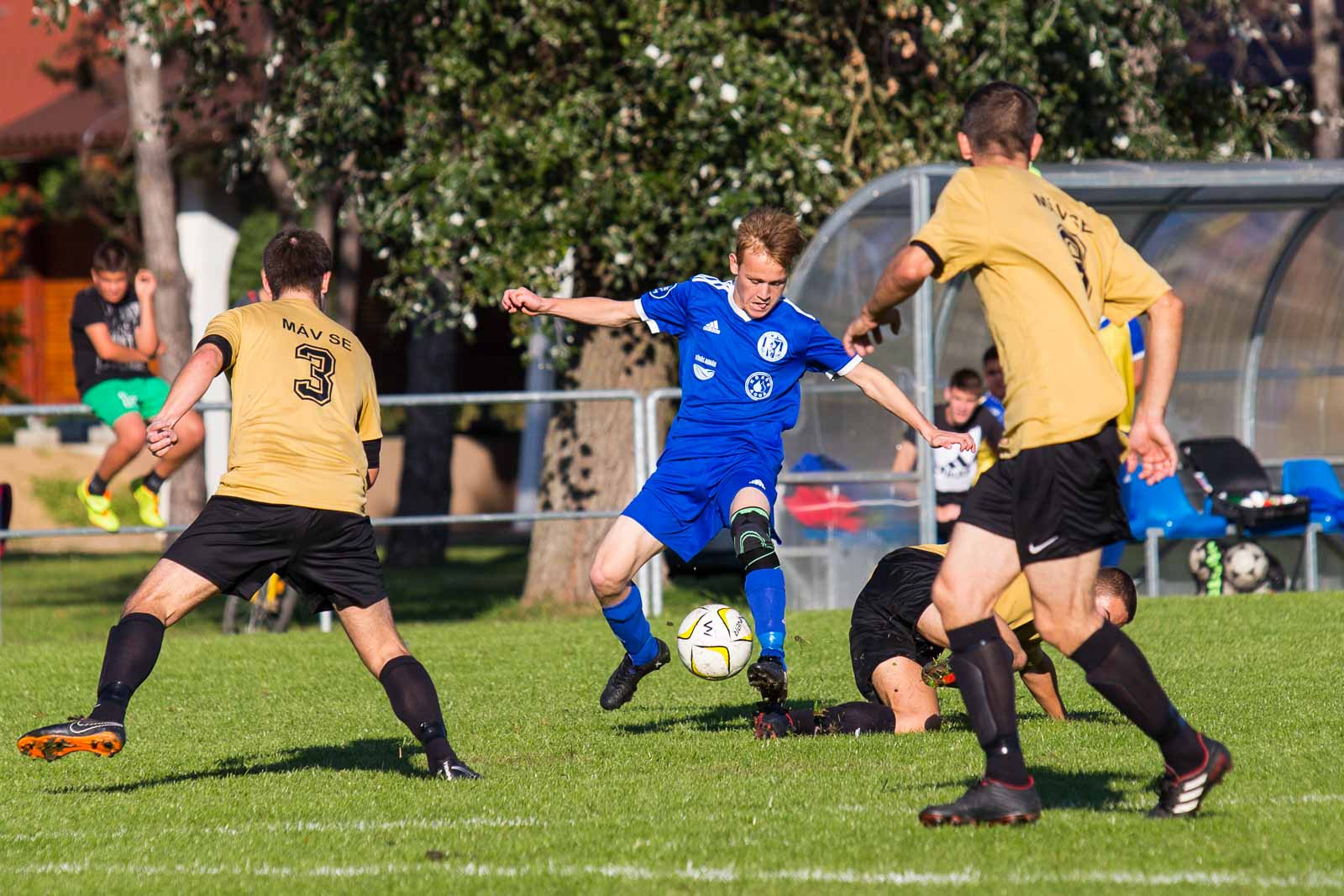 Dernovics Tamás (Fotó: Keller Dávid)