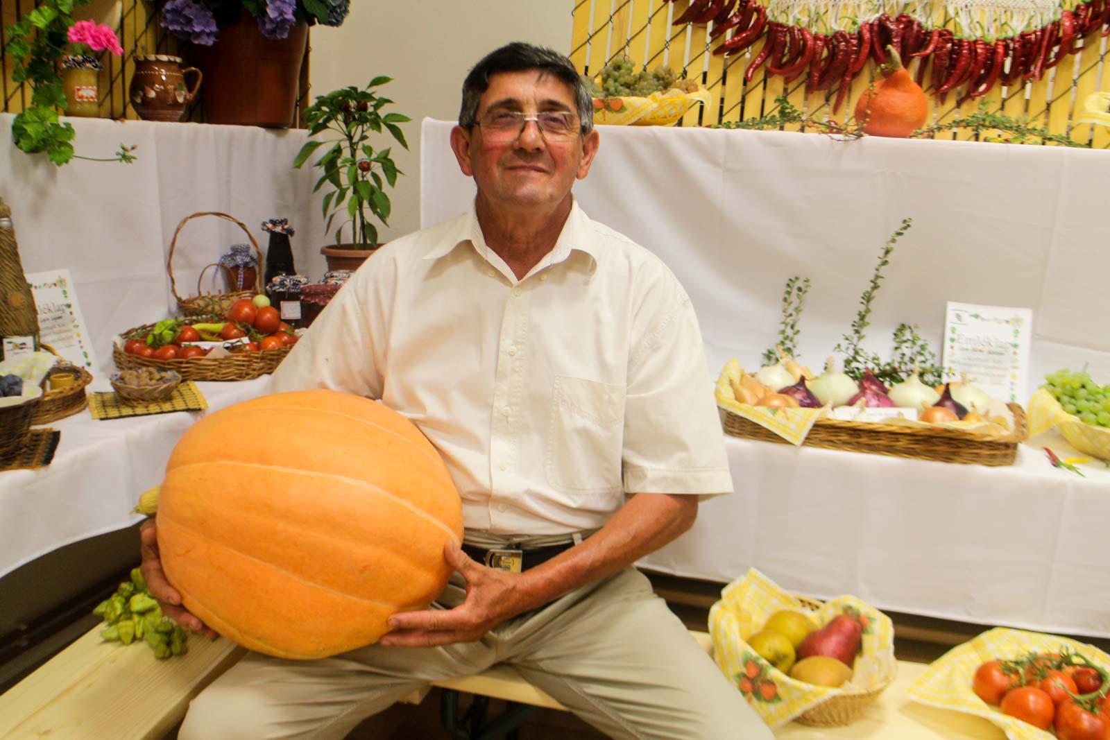 Fotó: Hegedűs Éva