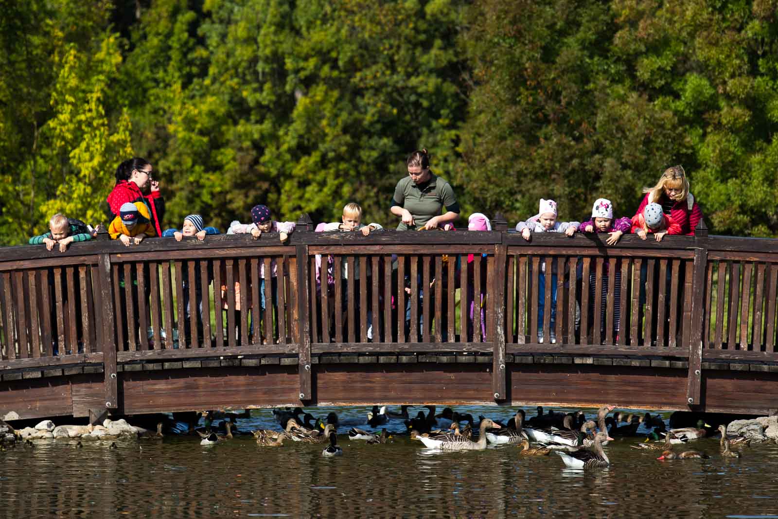 Fotó: Babák Zoltán