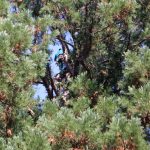 Fotó: Hegedűs Éva