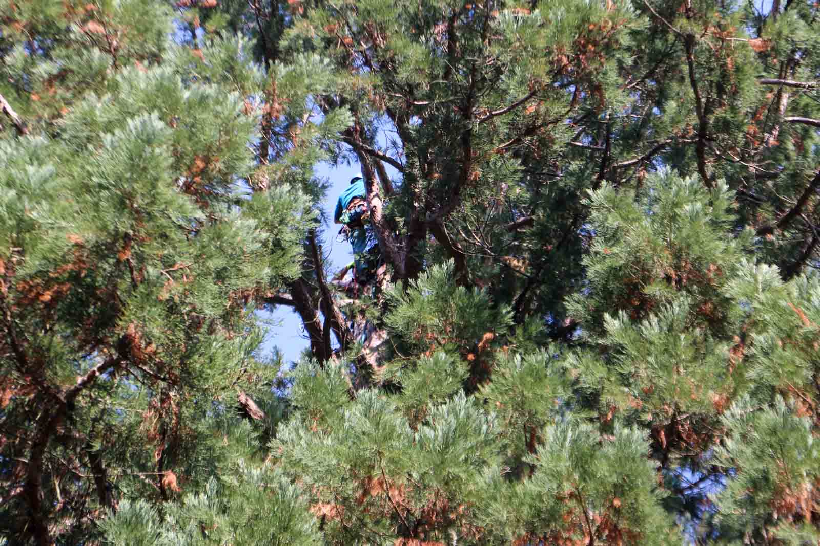 Fotó: Hegedűs Éva