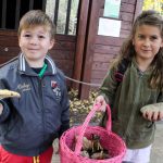 Fotó: Hegedűs Éva