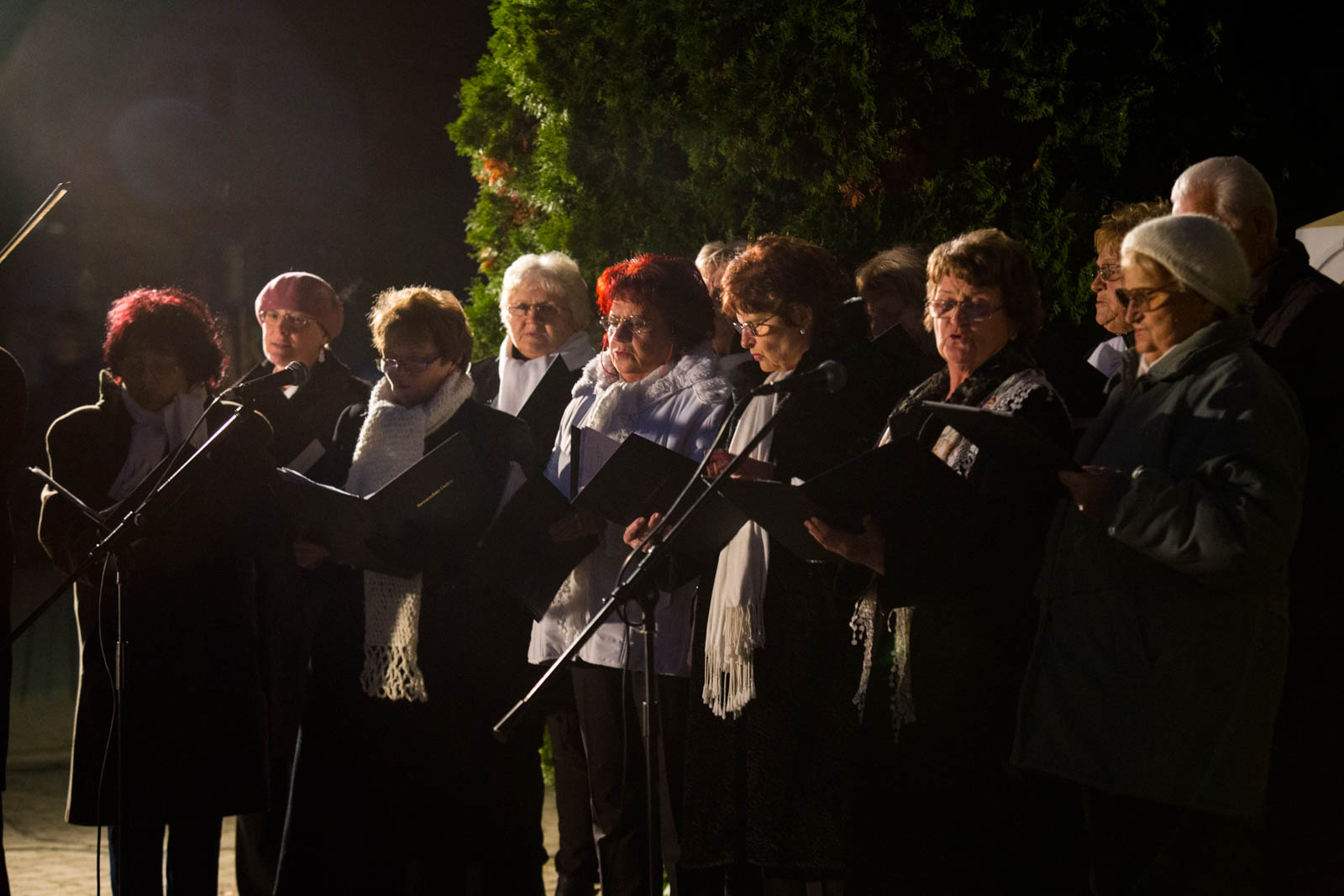 Fotó: Babák Zoltán