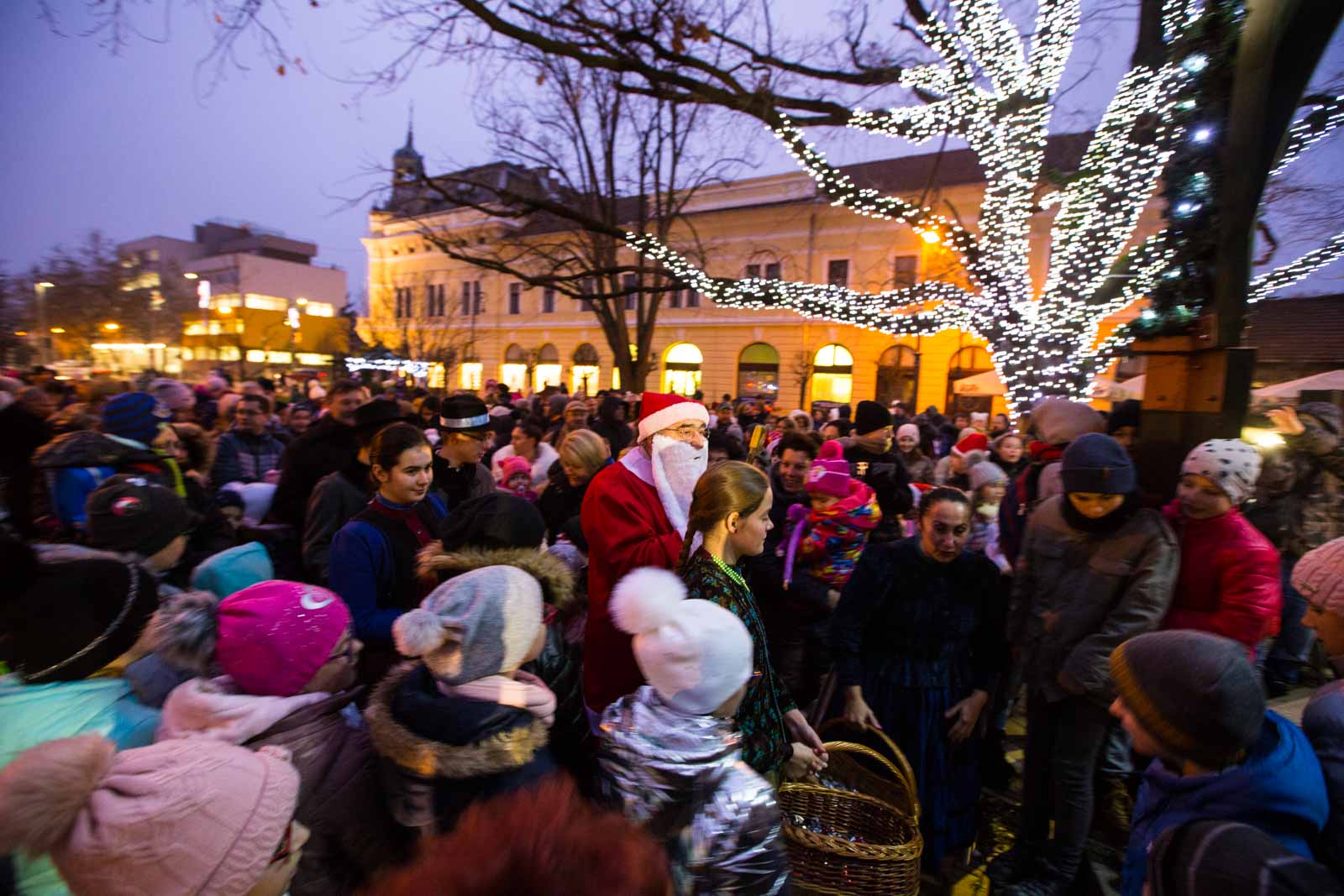 Fotó: Babák Zoltán